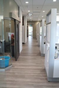 Hallway | Walden Orthodontics